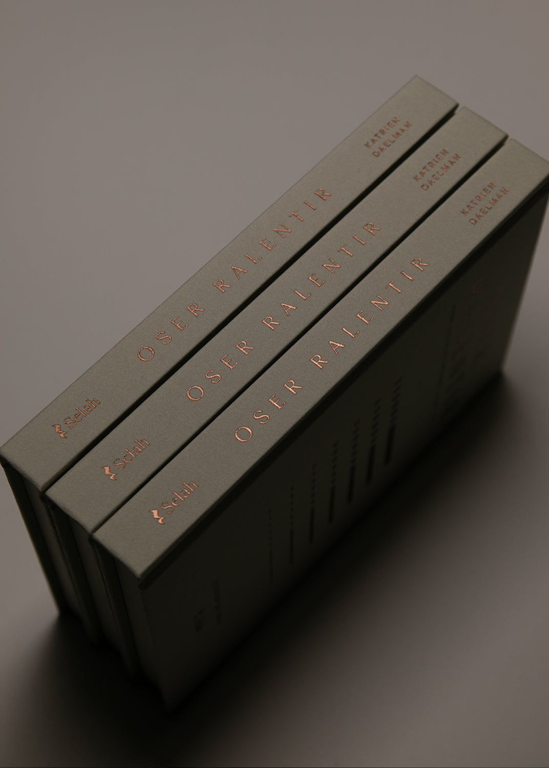 OSER RALENTIR – 3 LIVRES