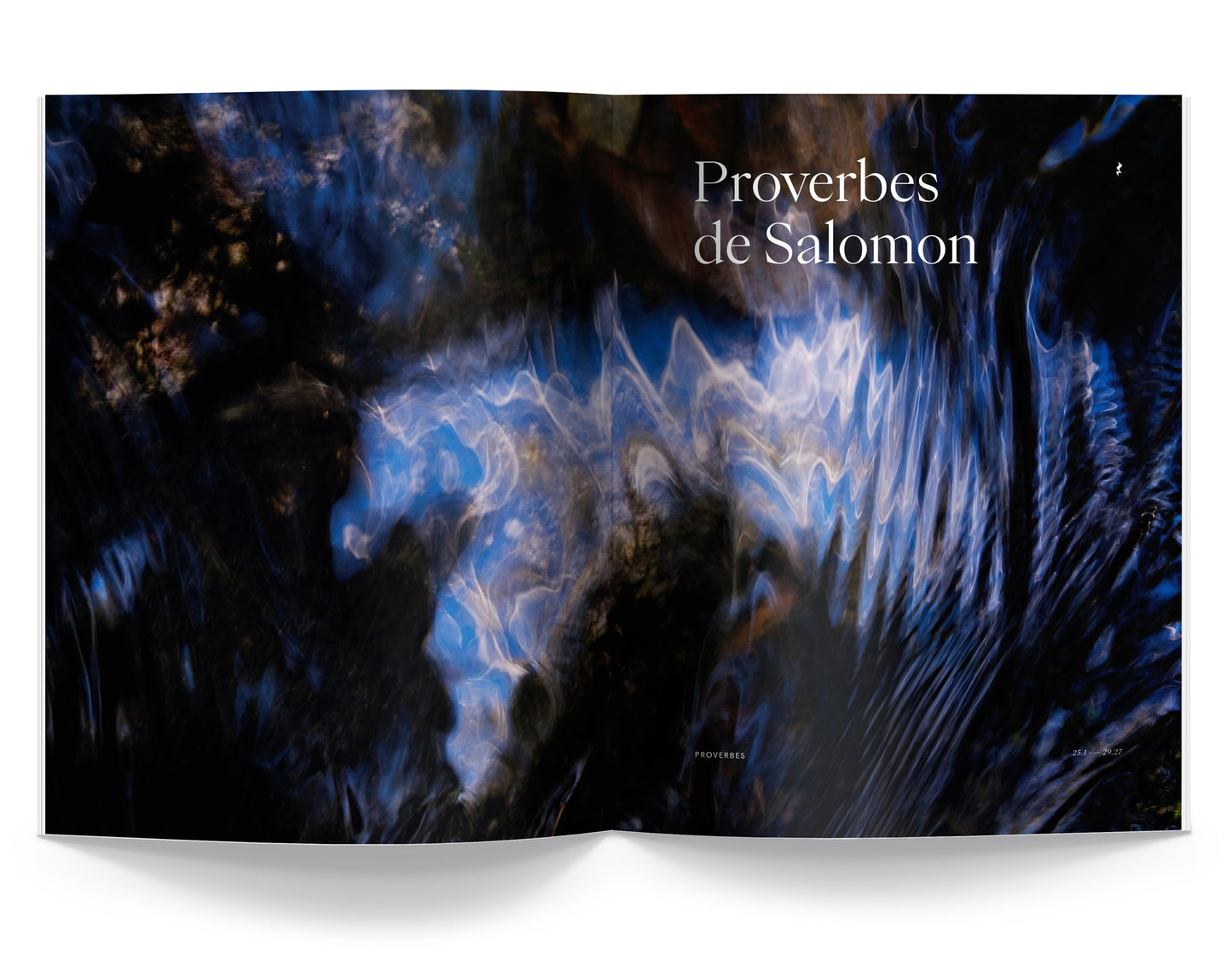 LIVRE DES PROVERBES