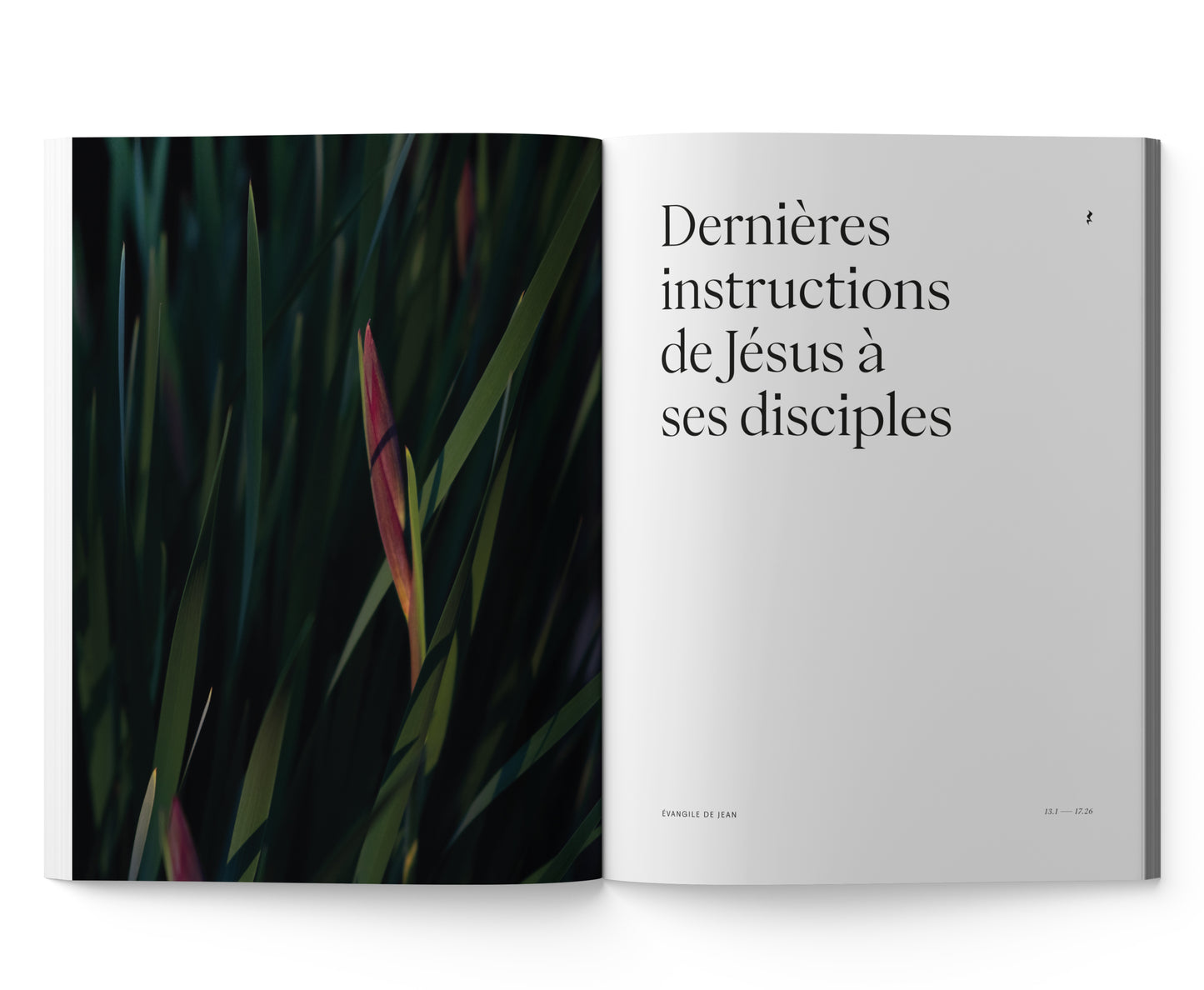 ÉVANGILE DE JEAN